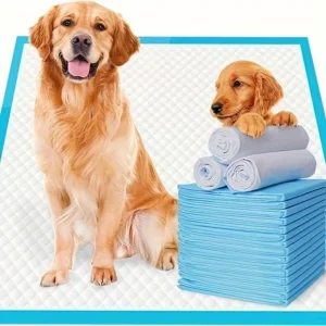 do0g pee pads.