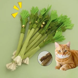 Cat  Interactive catnip chewlf a High Molar Stick Bite With a Bell.

 






g


 Toy
