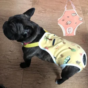 French Bulldog diapers.