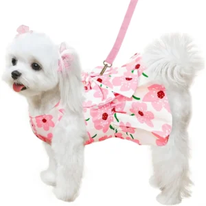Cute pet Summer Floral  .