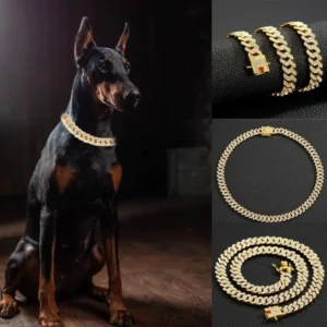 Cuban Chain Dog Collar Stainless Steel.