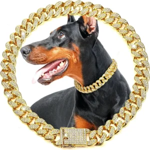 Dog Chain Collar Luxury Gold Metal Chain Collar.